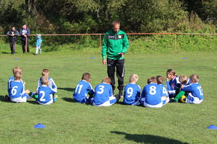 九游-替补席能否发挥稳定战术执行能力影响赛季后期，替补席是什么意思